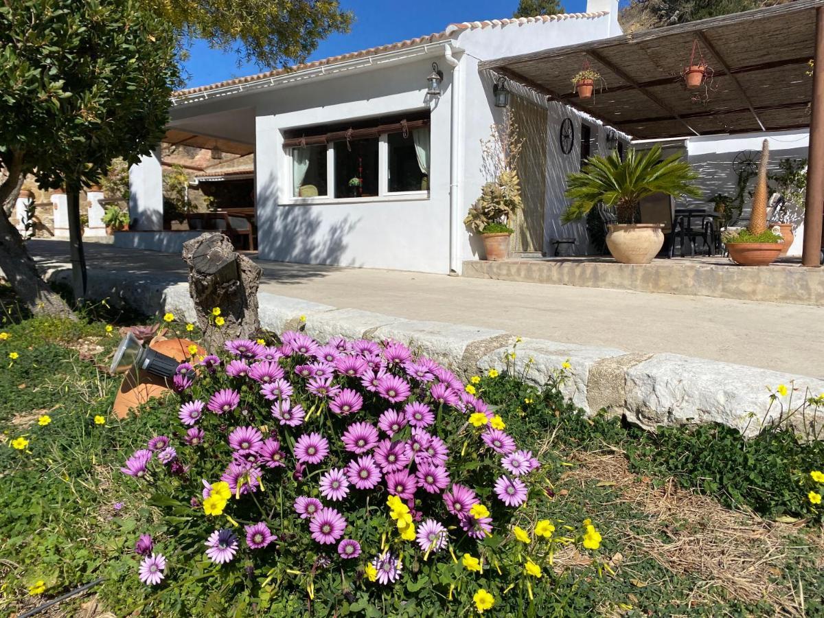 Casa El Saladillo Villa Valle de Abdalagis Bagian luar foto